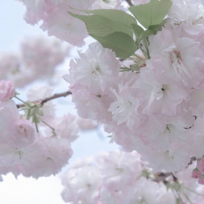 邹平FurryQQ群介绍